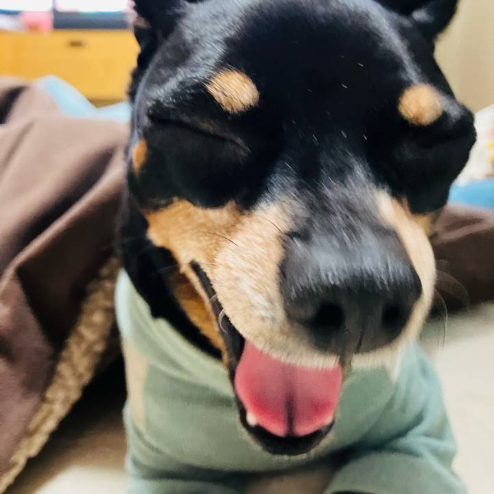 Eb8c1cbd 37d4 432c b3b1 4bf6a442099c 1766874308572