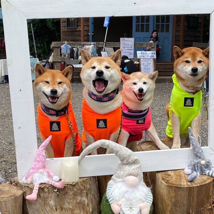 Eb8c3de6 01cb 4229 8263 97b3115b8109 1685417134258