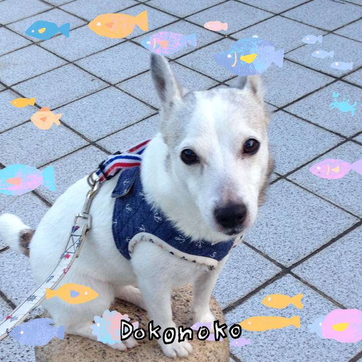 Eb8c4304 689a 4a03 bcc1 bfc36f80370f 1755232388198