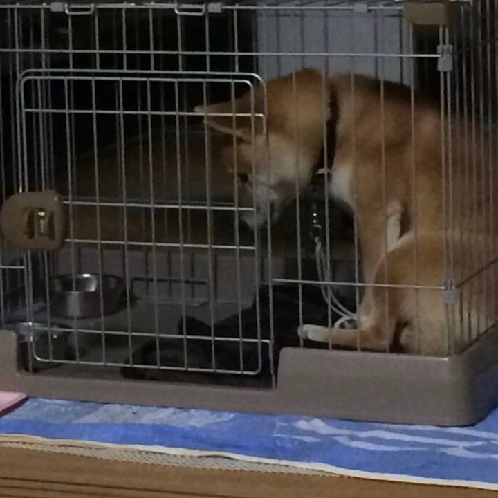 Eb8c4833 03bc 4ae8 8ce1 49a483e5c9f3 1512176831315