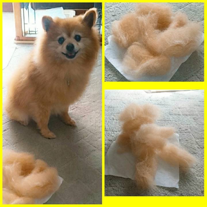 Eb8c6717 7c41 431b 8842 bf6cdea73ba0 1529707183447