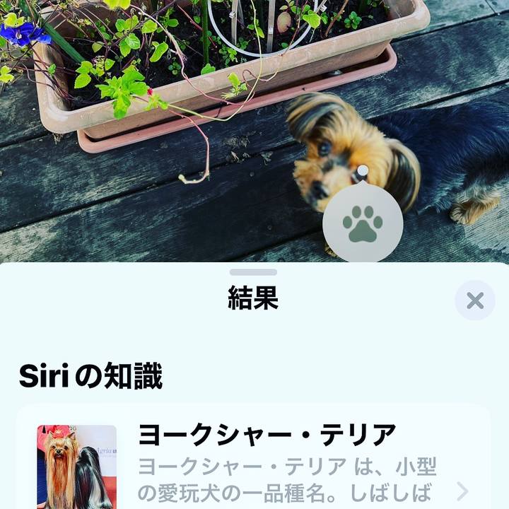 Eb8c8a65 31e3 47d6 8616 496ae7c93b4e 1664146062427