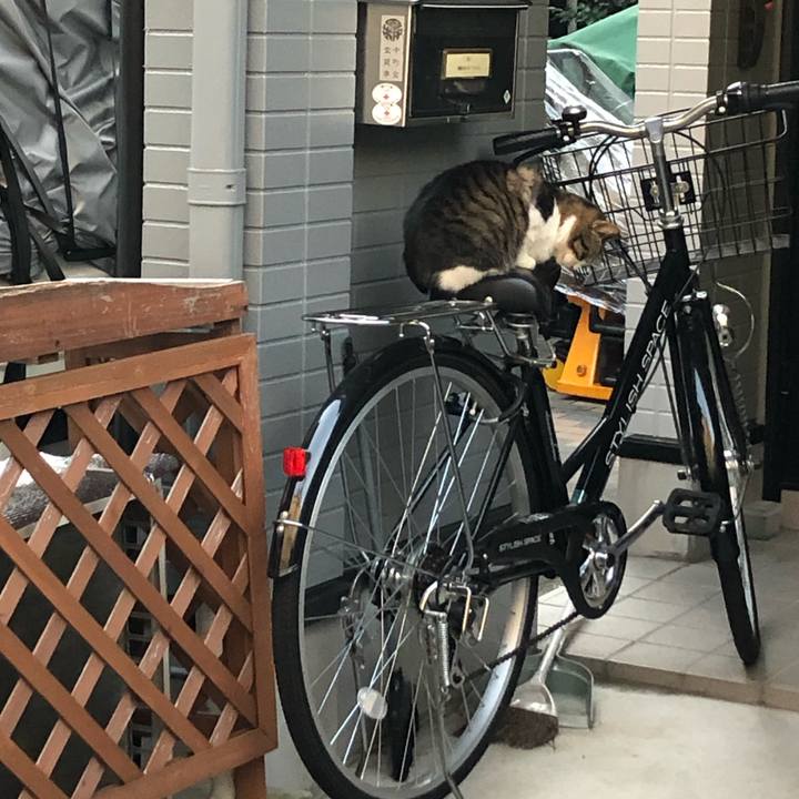 Eb8ccb79 451b 4c81 a70e 012d2b087848 1572732291062