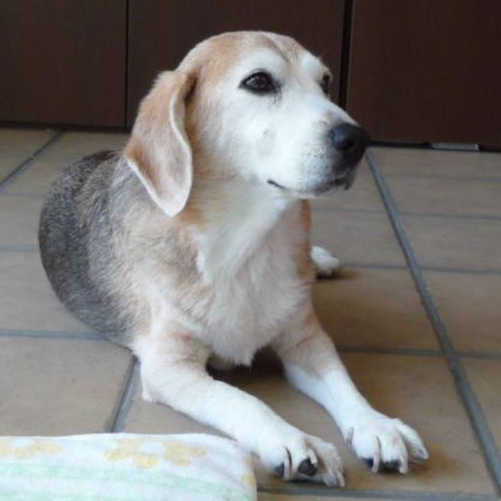 Eb8cd2a5 9759 43c6 ba6f 65f4283e3288 1694130076221