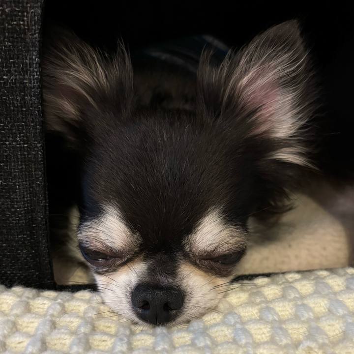 Eb8cd771 1b42 456b af1a 8fcba1e53877 1720283406444