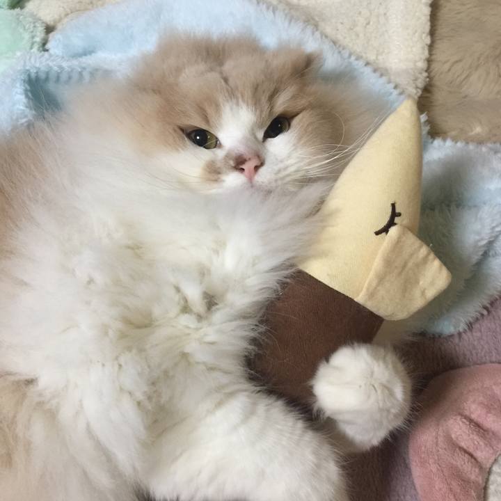 Eb8d5755 d744 49bb bed1 fcf09e02587b 1547196095687