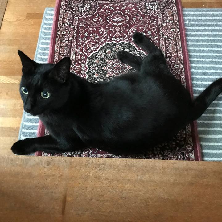 Eb8d61fa b9f8 496e aa45 7ff2f491b921 1520211235064