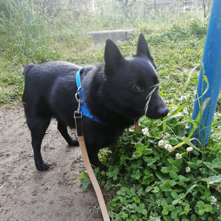 Eb8d7d31 04a1 4da0 aaa4 7c40cb798520 1620425137317