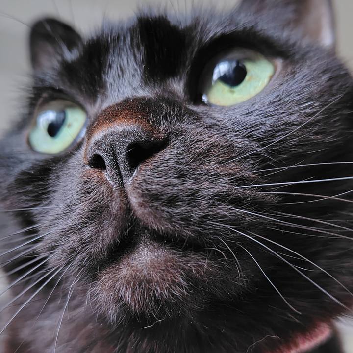 Eb8da8fa fddb 433b 93da 4e61346c43c5 1770424979321