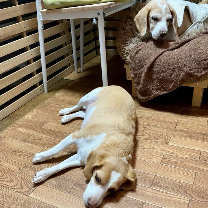 Eb8dcb6d b19c 425c bfe4 55c4418a3454 1635383801756