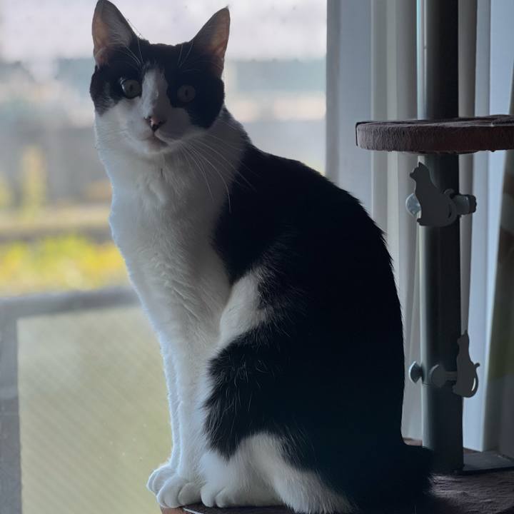 Eb8ded21 7fc9 4d80 a1dd fe12c94f7637 1692968305867