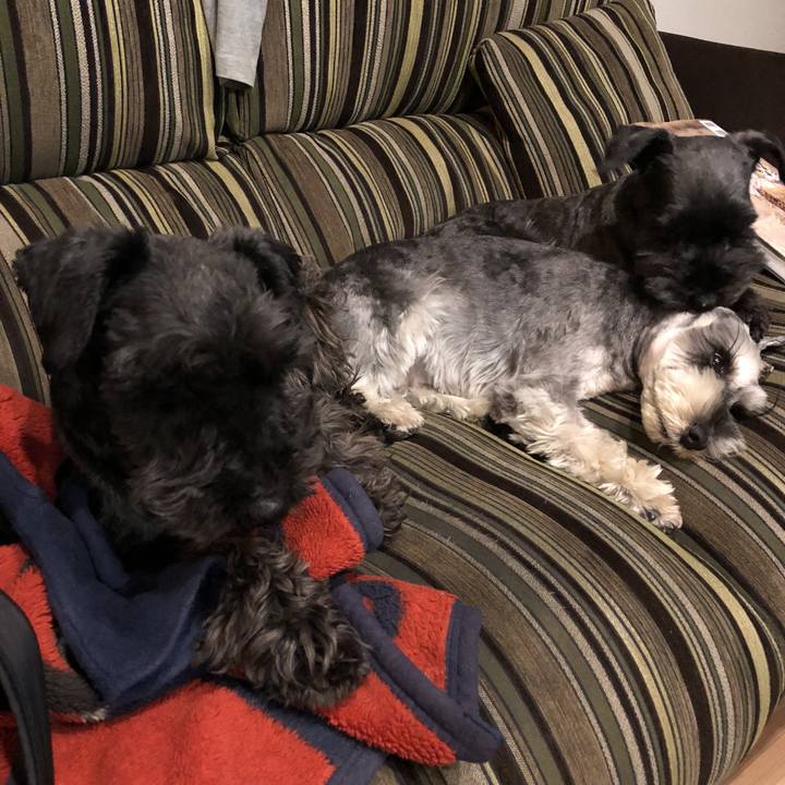 Eb8ded2a 8f9a 4414 a676 5ef07aaa96ef 1521027052578