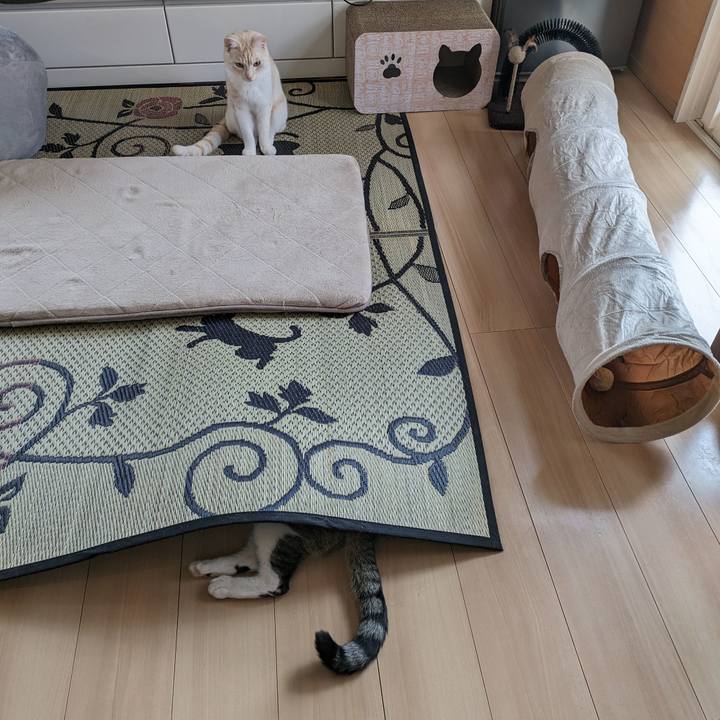 Eb8df269 ac66 40f1 a173 10e91845cf63 1687387503190