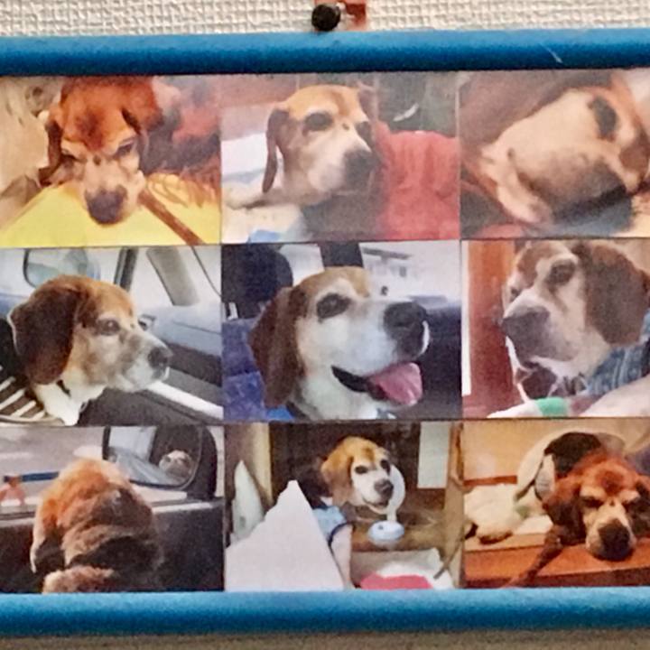 Eb8e1a8a b613 4f43 bd85 552cfe578617 1535242452665