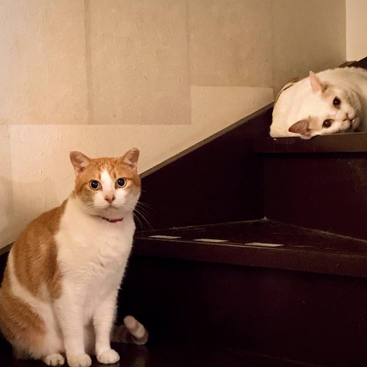 Eb8e3dd9 6916 4849 b651 ce0bda639f92 1623413019269