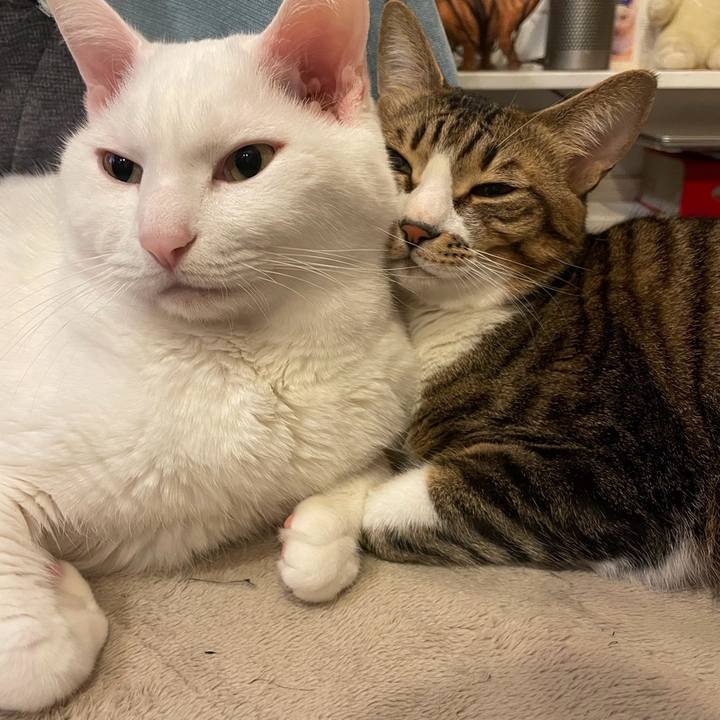 Eb8e4a54 87c3 45a8 8fdb f430ffd62354 1764150920897