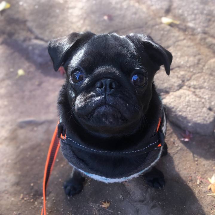 Eb8e7031 875e 4de5 984c cf60fa798d01 1608418174595