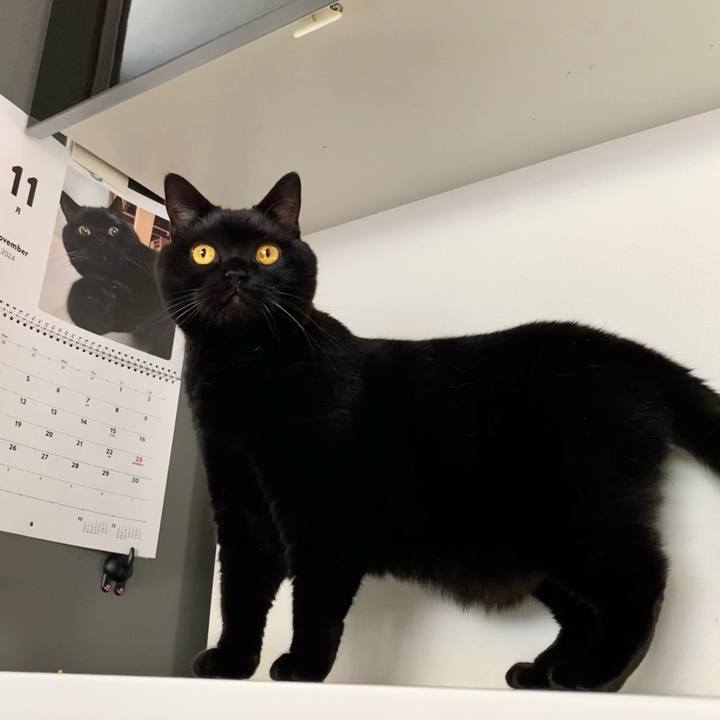 Eb8e738d b09c 4a82 a719 02238b5fd461 1730454985534