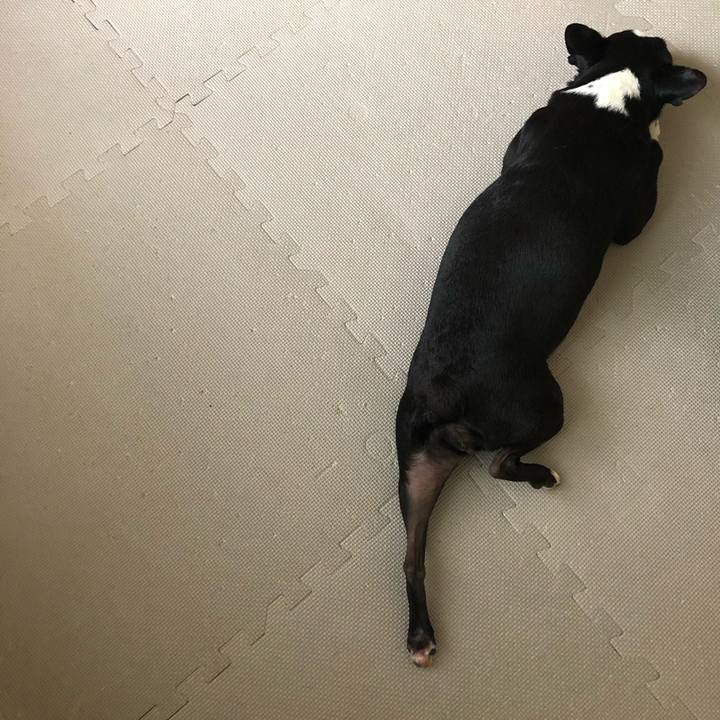 Eb8e9a6d 8ca4 49b5 a8a6 79c3e99efbd9 1629699092324