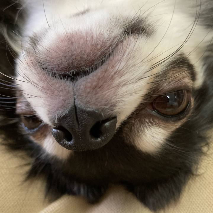 Eb8ec82f fb17 4c25 8958 6fdd7c9e9b60 1680446751464