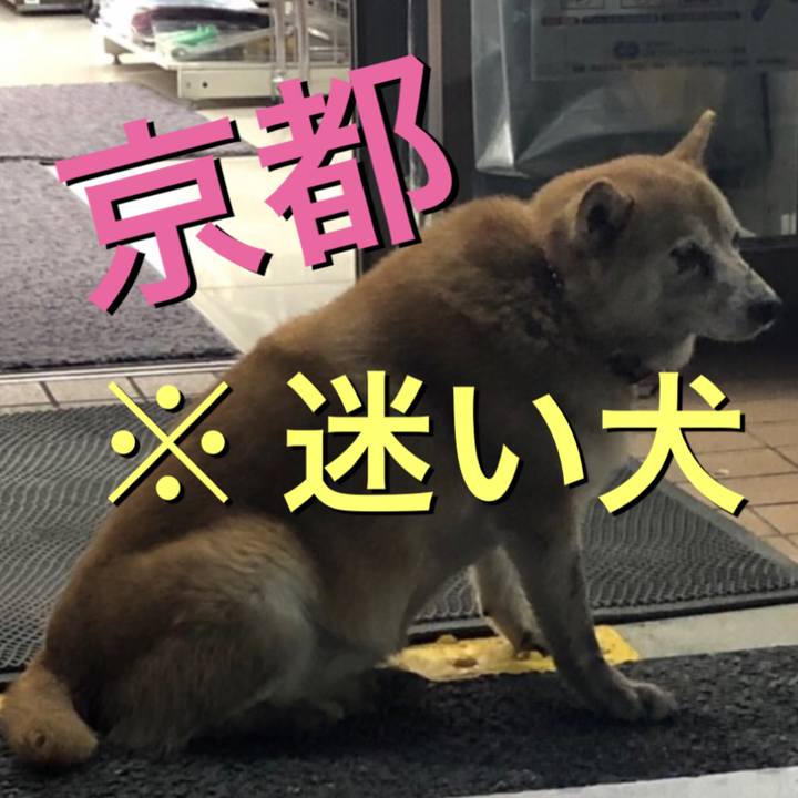 Eb8ed73b 5410 4771 b075 6c94a7f9e973 1570024456631