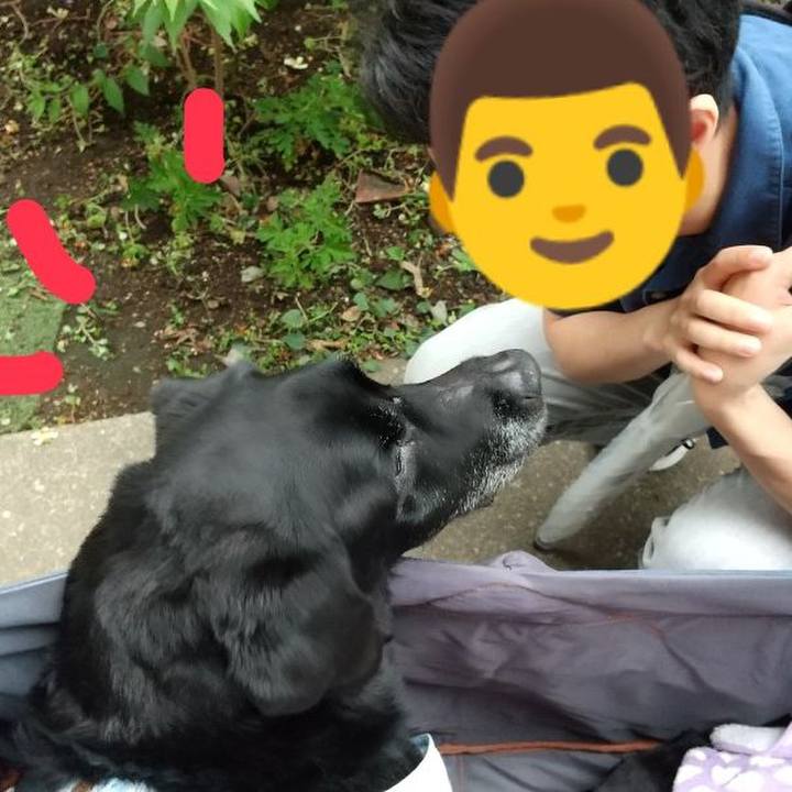 Eb8ede22 da30 4474 af61 f370d5c33bdf 1717146508870