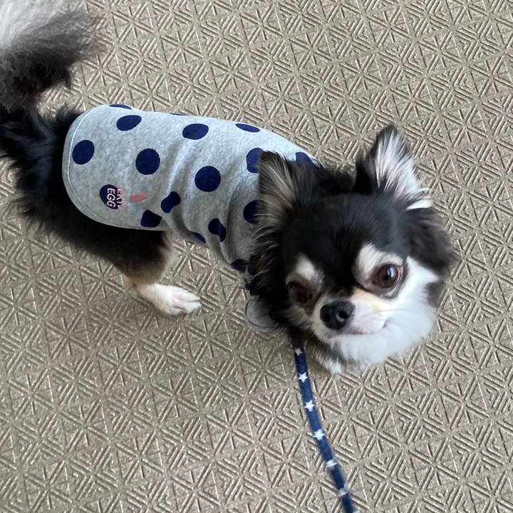 Eb8efce0 ad3f 493e b924 da1f4c9cf7d3 1650779211659