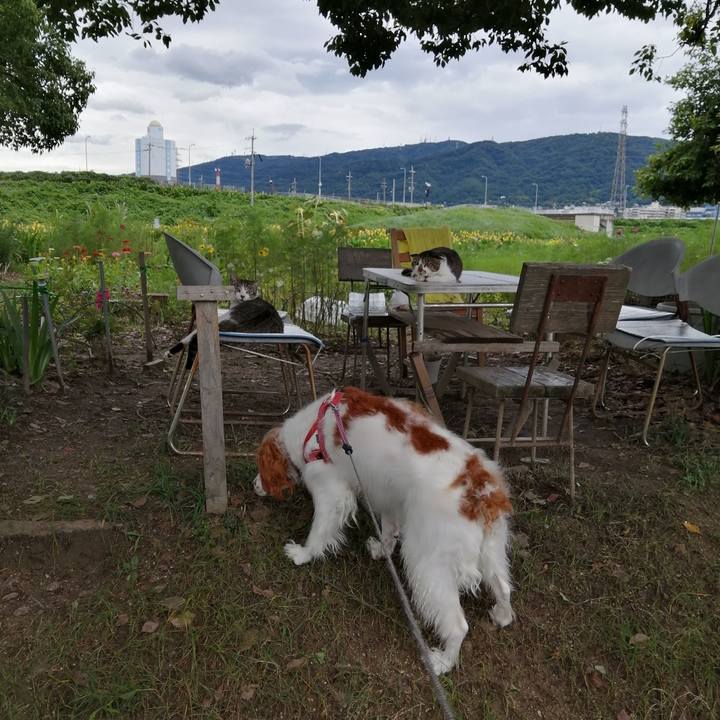 Eb8f375d e4d2 42b9 9a70 a346c00f9f90 1595834663510