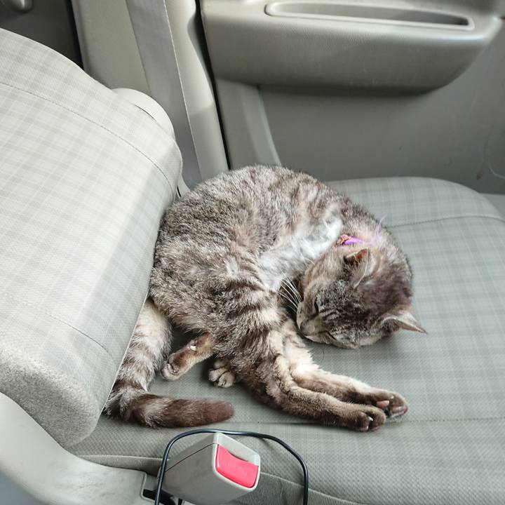 Eb8f59c1 6c5d 4550 9716 5249f0bb47f6 1592037394878