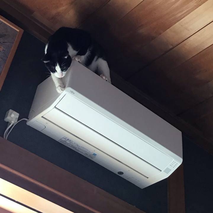 Eb8f5ba2 f1ad 433d 9eea 5758a80d483f 1712452161949