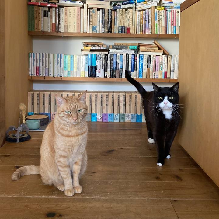 Eb8f6868 5846 4b2f 9f09 50606ca9f4de 1620079832281