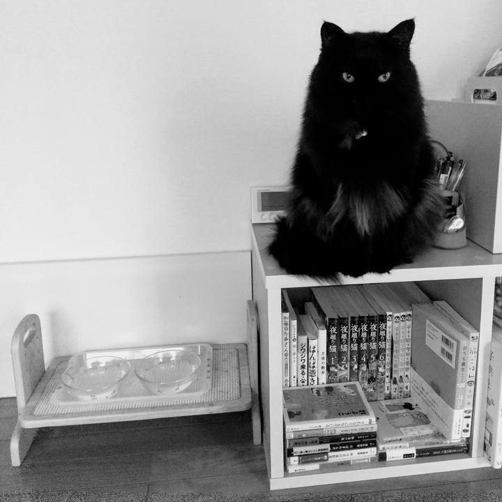 Eb8f8e58 c9ef 4b73 96e7 78b3babdd513 1620886107826