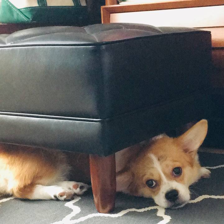 Eb8fc98a fdb0 4528 a48e 7d672c4ba028 1567040525808