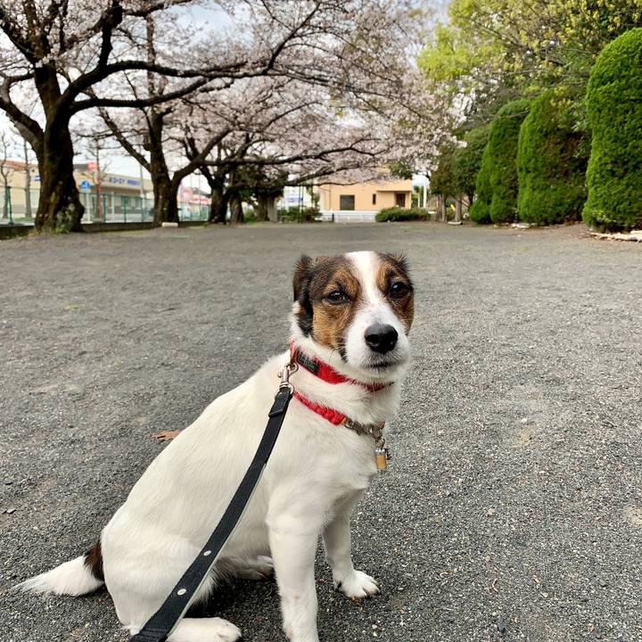 Eb901b23 53da 42d1 bf05 702e2d9a9c9a 1616817459783