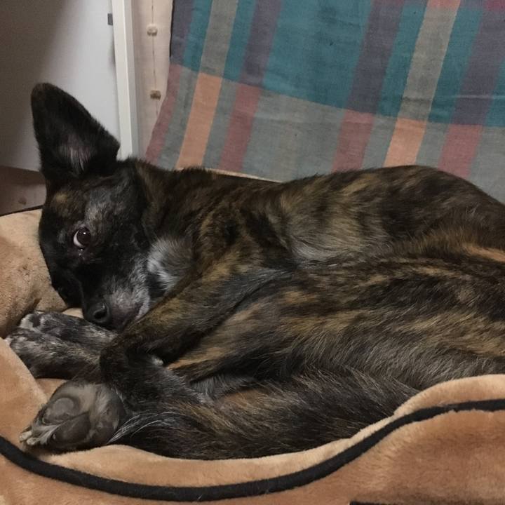 Eb902f14 a05e 4fc8 bb2e 4723457f223d 1511969171155