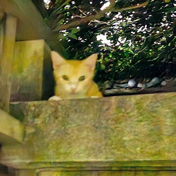 Eb908d17 7f38 42d7 b09a 743f1999ac8e 1721721576036