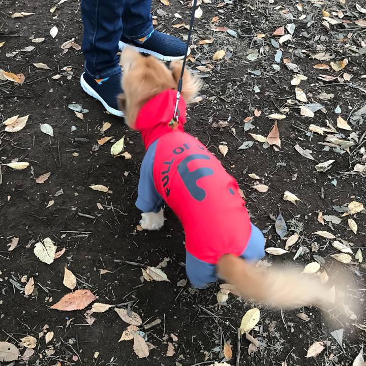 Eb909755 c47c 4390 b03a d0a0f4a472f8 1509154729003