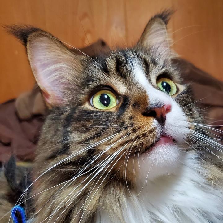 Eb90aa69 f1f3 4f75 86de 76cfe7c20949 1730371674357