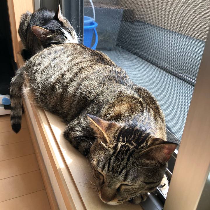 Eb912d6d a114 4190 9ebc b549209422ee 1522083205092