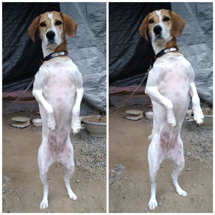 Eb915a61 3076 4db5 b465 4af17bf366c9 1634031945814