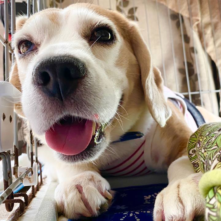 Eb917f32 762f 4497 a384 35a4628b3a01 1594525645169