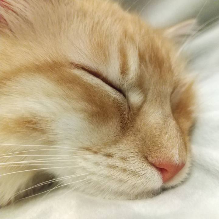 Eb918c2c 2273 4239 ac0a 3a4a273e46e2 1614941840262