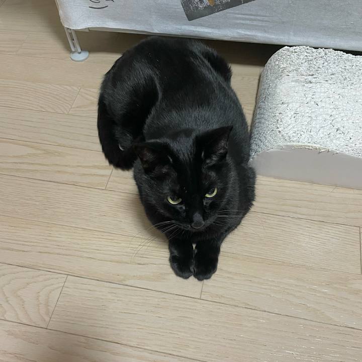 Eb919258 9011 4ddb 99a9 2171139ed74d 1739626213389