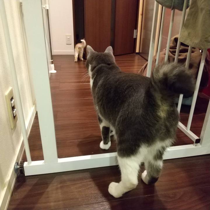 Eb91ef41 697b 4307 b265 39a17fcd0d4f 1603547365337