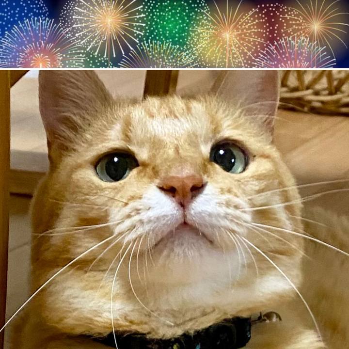 Eb92367e f37c 432d afb5 304b61ed31ec 1756514398636