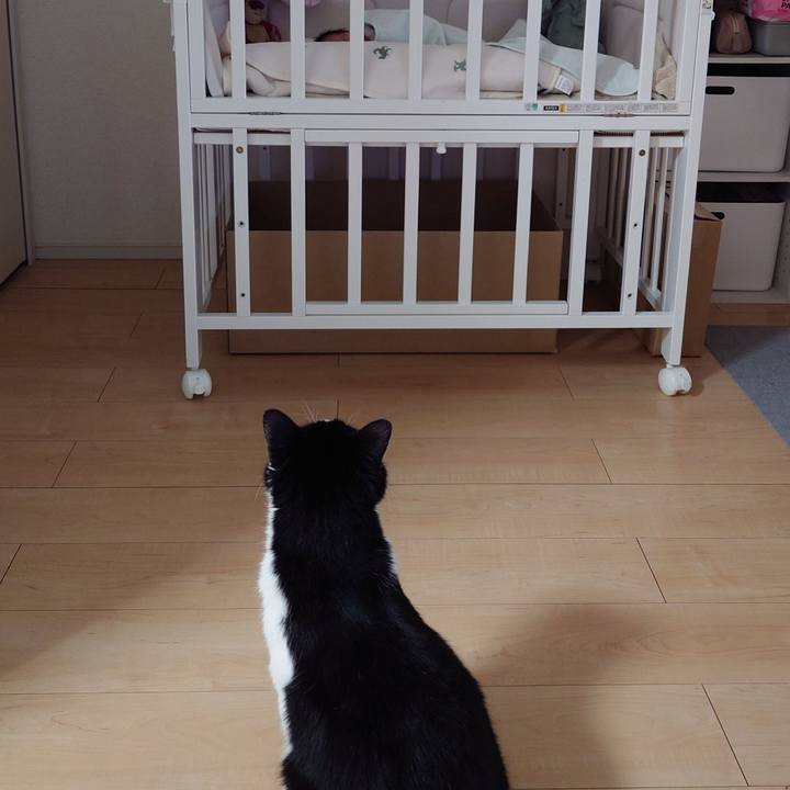 Eb923db1 43e5 4b96 9e80 2effcfb16c1f 1706920959523