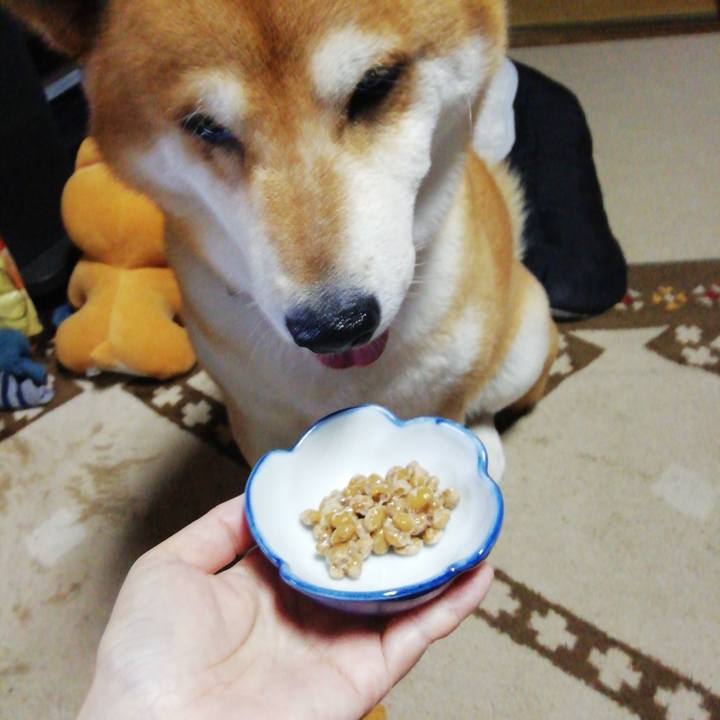 Eb924eda 48b3 4ca7 a372 2f794ba4fcef 1595215845871