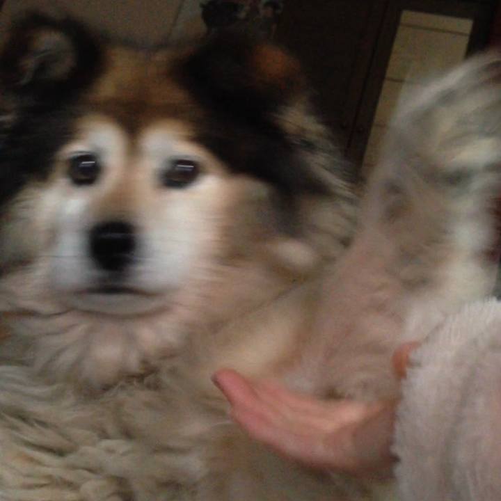 Eb92689a aa44 4c93 a566 ba921927fd04 1615785826991