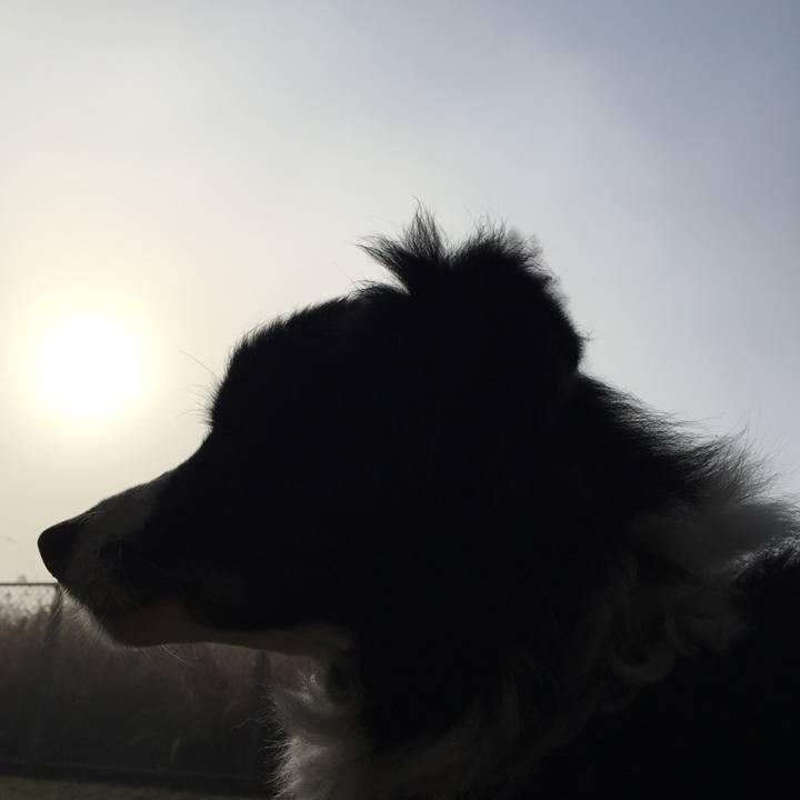 Eb929b96 03c1 40b8 bba2 a1d152d66213 1548547396809