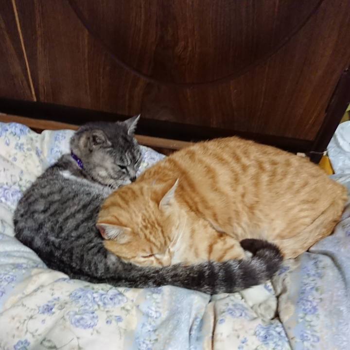 Eb92aa76 ee70 4089 b729 962968b69701 1589027393135